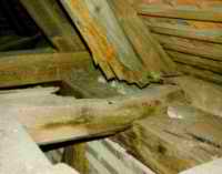 Holzschutzgutachten & Bauwerksuntersuchungen & Sanierung
